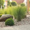 Neuanlage von Gärten und Parks